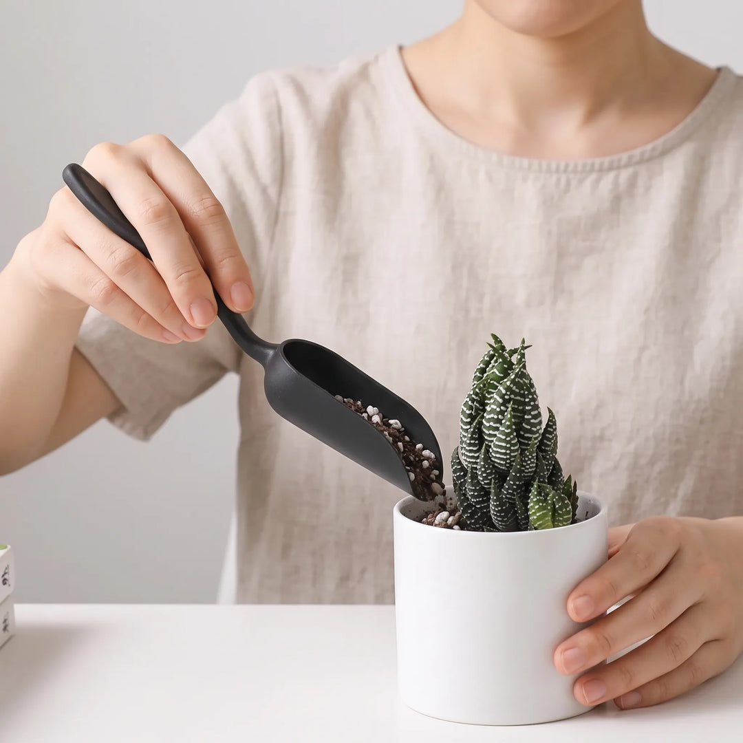 Close-up of mini shovel, rake, spade, and brush tools for indoor gardening & delicate plant care.
