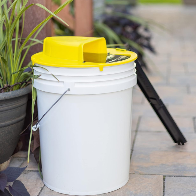 Efficient yellow auto-reset mouse trap, humane pest control solution for household rodent management.