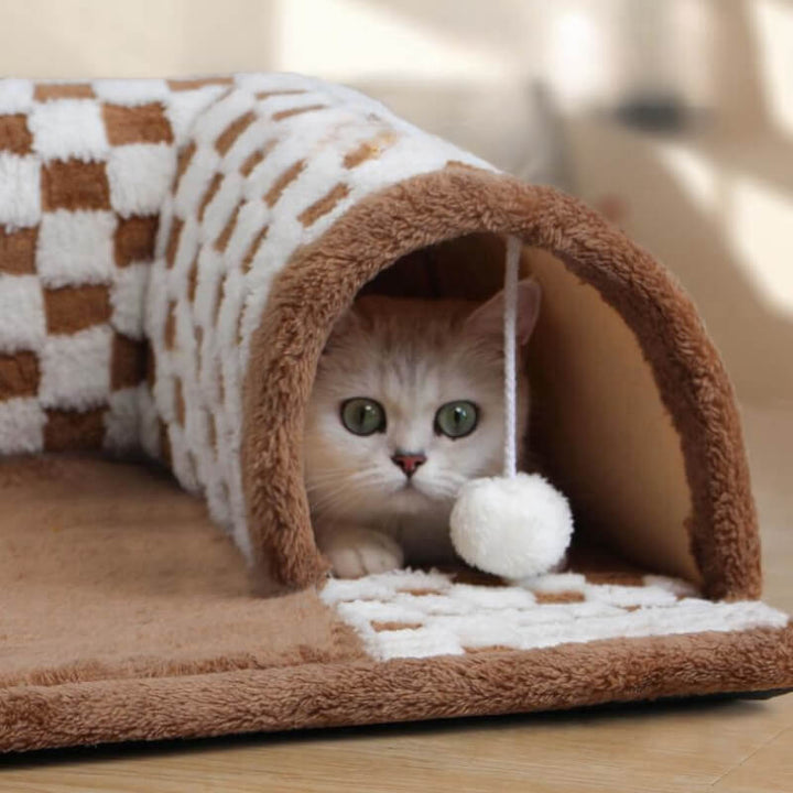 Playful cat peeking out from the end of the plaid tunnel bed, an engaging cat accessory