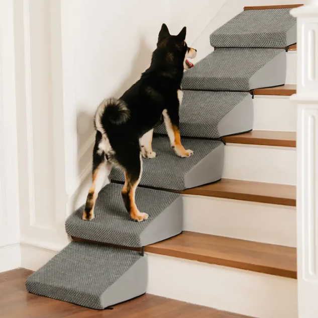 Dog Foam Ramp Stairs - Modular Pet Steps for Joint Care