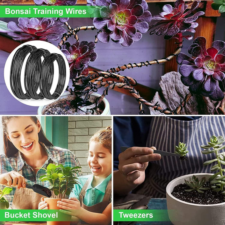 Essential high-carbon steel bonsai tools for meticulous pruning, shaping, & maintaining healthy bonsai trees & plants.