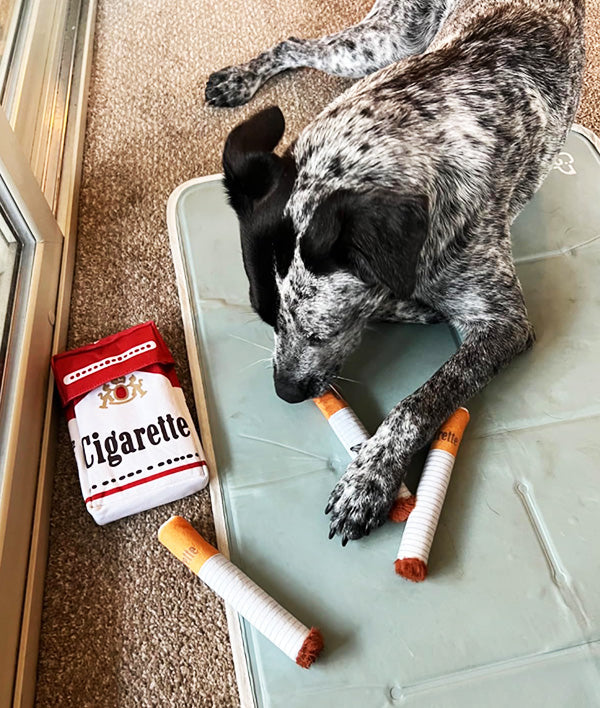 Plush dog chew toys, 3-pack, no stuffing, featuring amusing cigarette shapes for active dogs