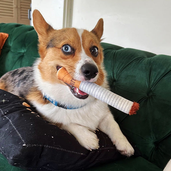 Interactive chew toys for dogs, set of 3 no-stuffing plush cigarettes, amusing pet supplies