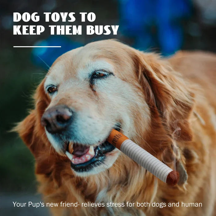 Durable no-stuffing plush dog toys (3-pack) with unique cigarette design for chewing fun