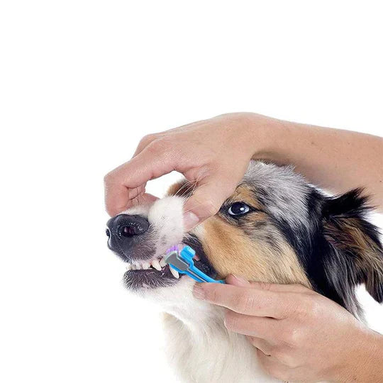 Pet 3-Sided Dog Toothbrush designed for thorough and easy teeth cleaning and oral hygiene.