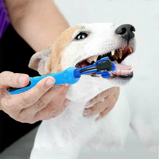 Ergonomic handle pet toothbrush for dogs, ensuring fresh breath and healthy gums.