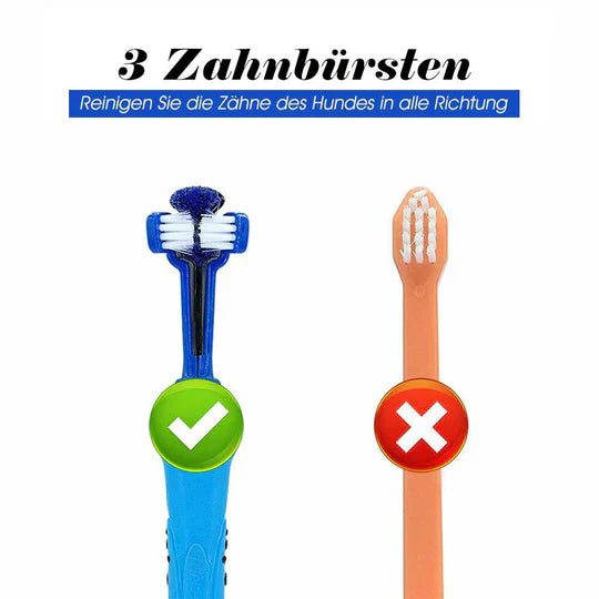 Dog owner using a 3-sided dog toothbrush to clean their pet's teeth for better health.