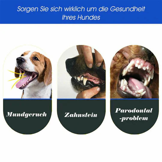 Blue 3-sided dog toothbrush, essential for dog health and routine oral care.