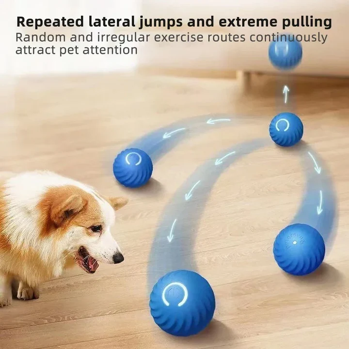 Automatic rolling dog ball for anti-anxiety play & mental stimulation, ideal interactive pet toy.