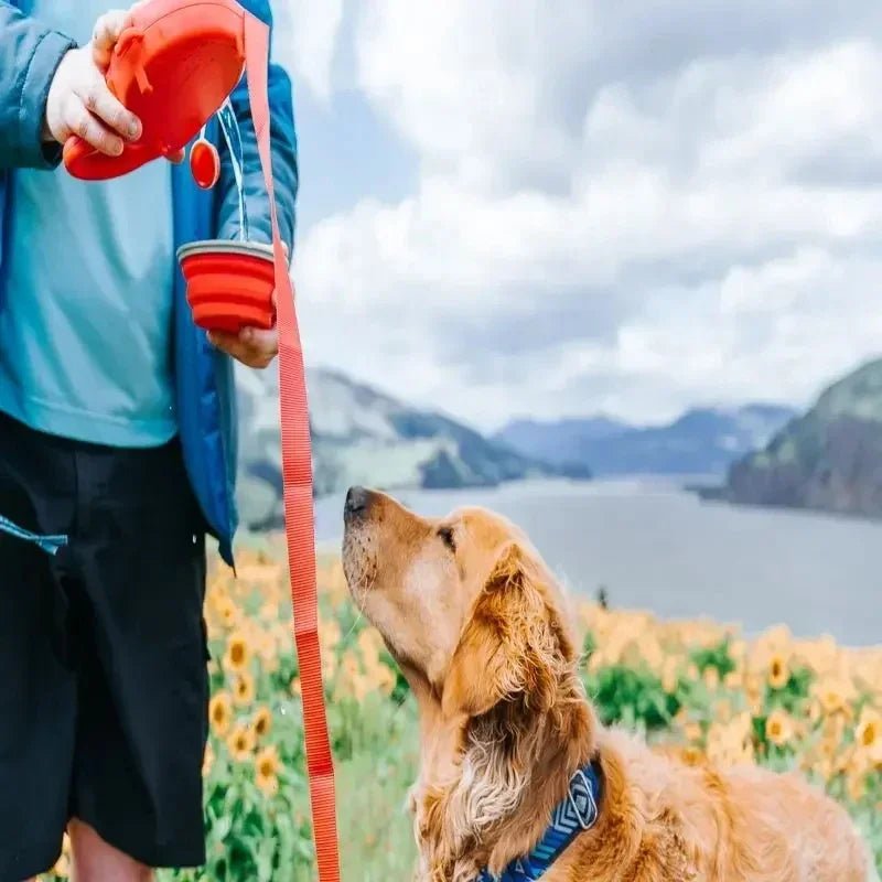 On-the-go pet accessory: multifunctional dog leash with water, bowl, and waste bags for active owners