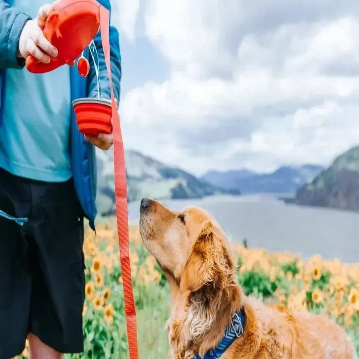 On-the-go pet accessory: multifunctional dog leash with water, bowl, and waste bags for active owners