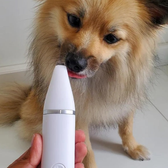 Close-up of the pet hair trimmer with a dog clipper attachment, highlighting its precision blades and portable design for easy pet grooming.