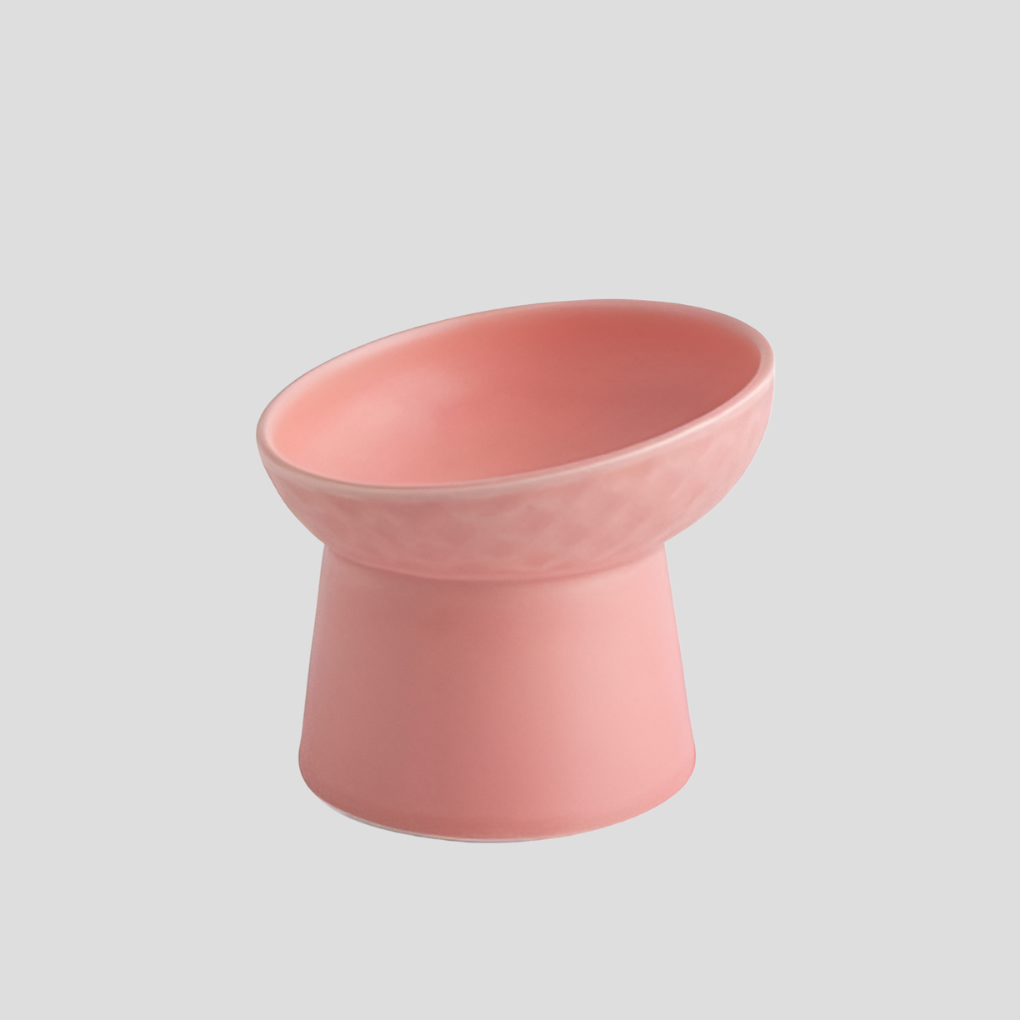 Premium ceramic tilted cat bowl with neck protection, a sleek Nordic design pet feeder for healthy eating.