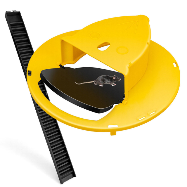 Household humane mouse trap, yellow, with auto-reset feature for easy, reusable rodent control.