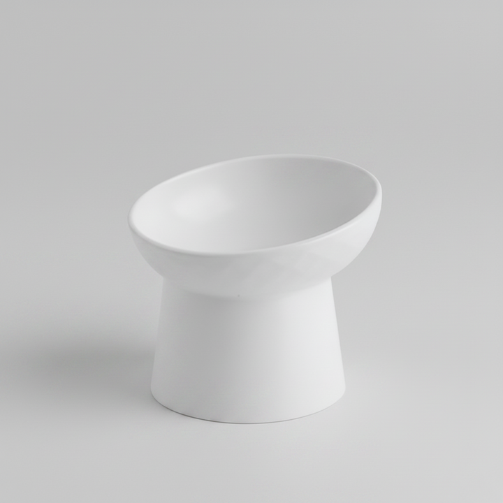 New ergonomic tilted ceramic cat bowl ensures healthy feeding, reducing neck strain for happy cats.