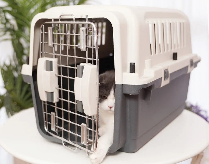 Large Dog Airline Approved Travel Crate, Pet Carrier