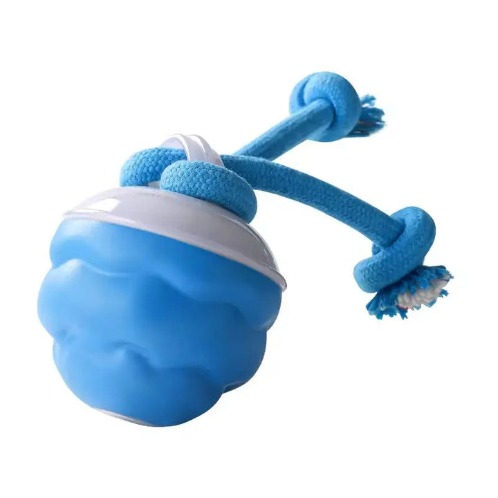 Smart Interactive Dog Ball Toy for All Breeds