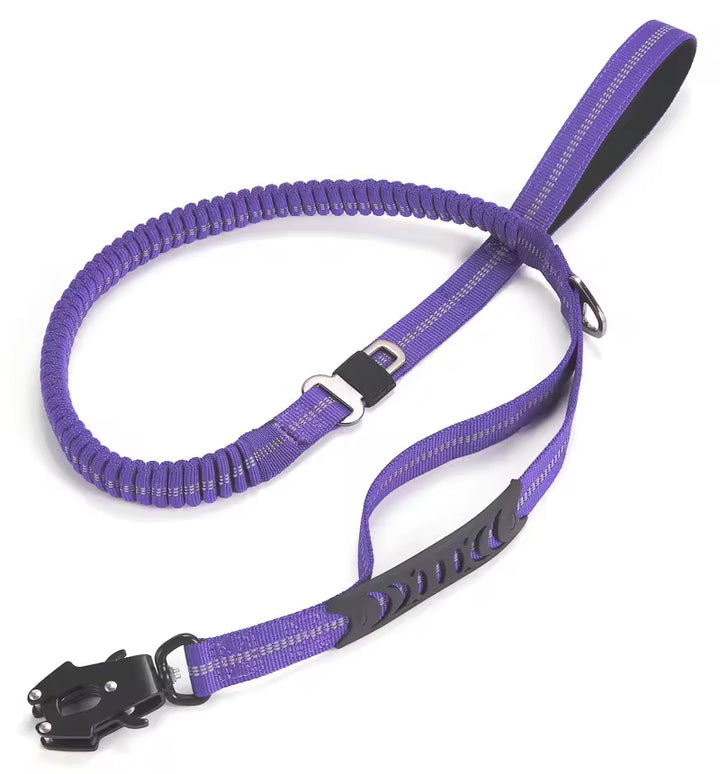 Elastic Reflective Bungee Dog Leash for Active Pets