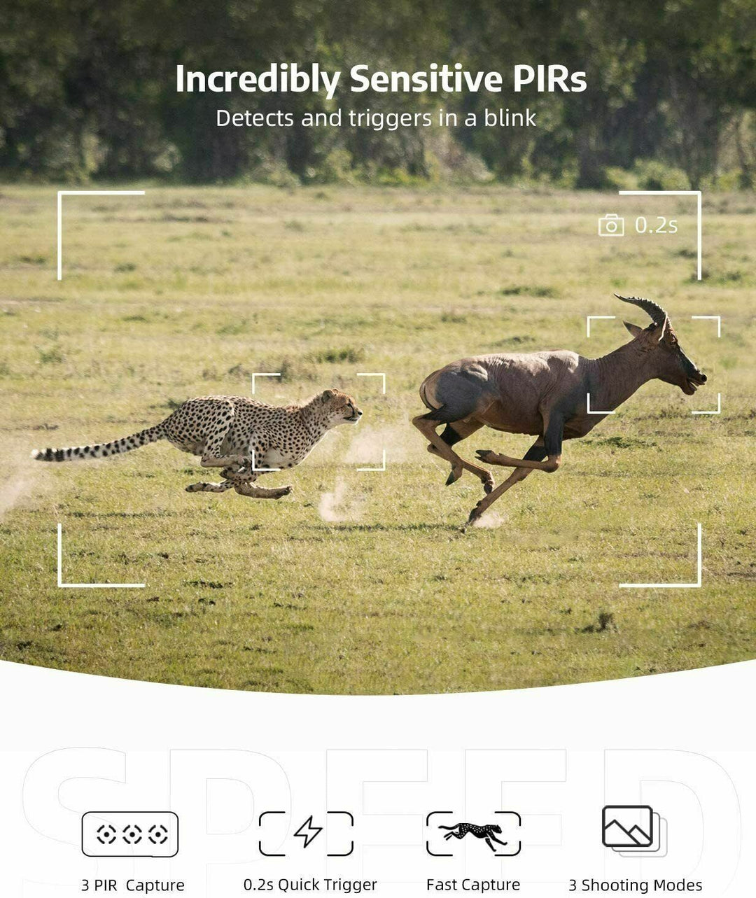Rugged hunting camera with 1080p HD video and motion-activated recording for detailed game scouting.