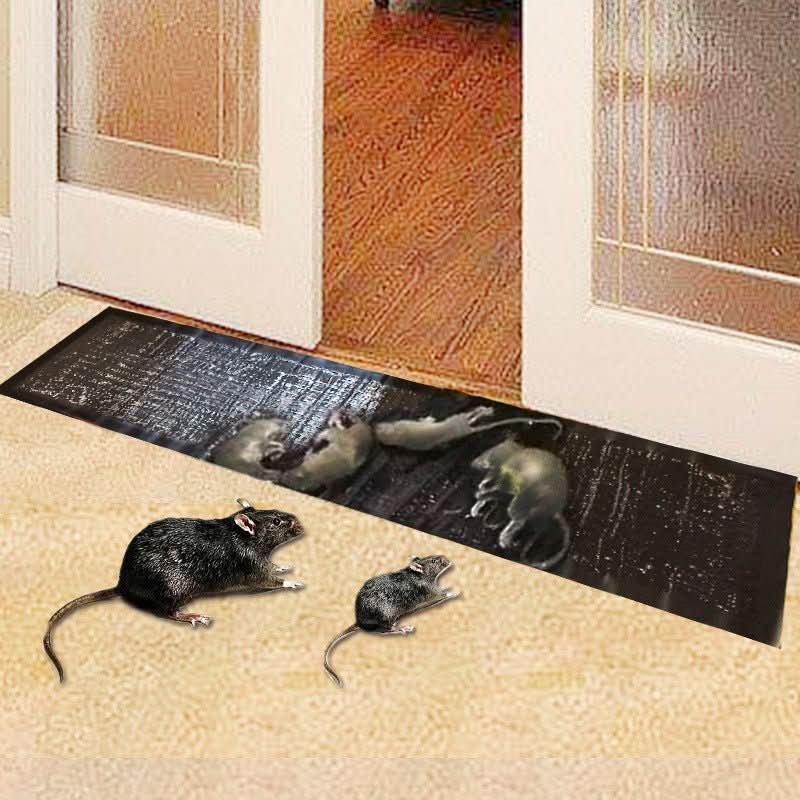 Ultimate large sticky traps, 10-pack, for indoor/outdoor pest control. Catches rats, mice & bugs effectively.