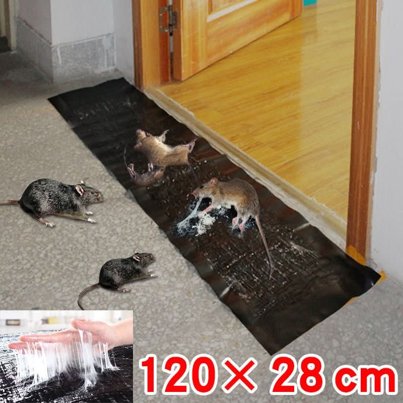 Effective large non-toxic sticky traps, 10-pack, for comprehensive rodent & insect pest control. Home protection.