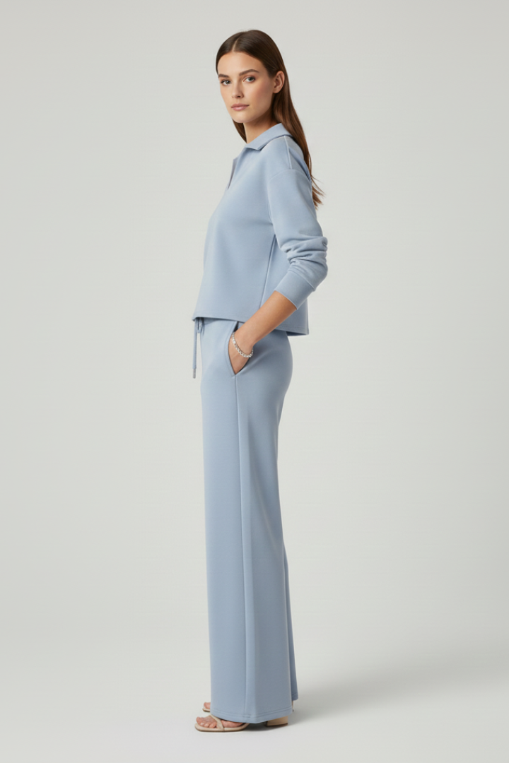 Chic fall fashion women's set: v-neck long sleeve top & wide-leg pants, ideal for comfort & style.