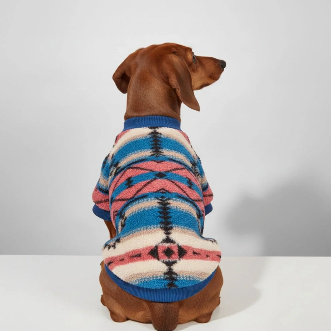 A small dog wearing a blue and white striped plush winter sweater, standing outdoors.