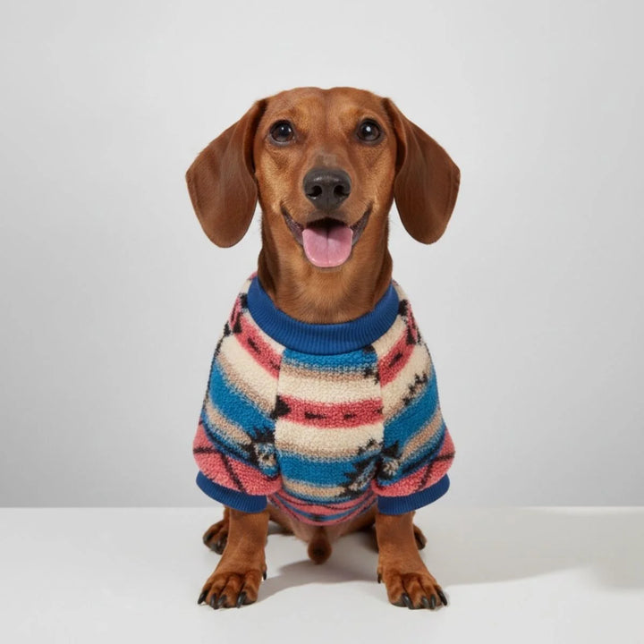 Close-up of a fluffy dog in a red and black striped plush winter sweater, looking cozy.
