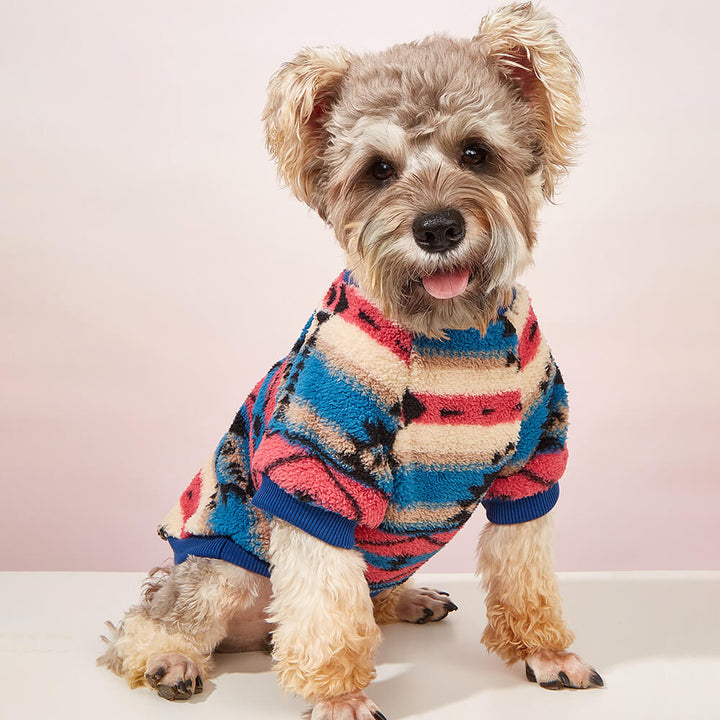 A playful dog in a green and yellow striped plush winter sweater, running in the snow.