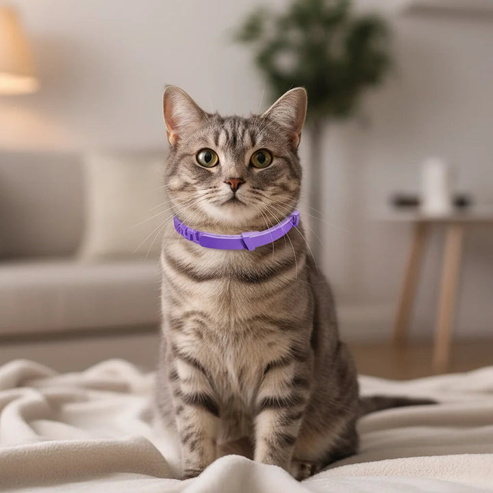 Pet health adjustable collar for dogs & cats offering anti-stress & tick protection benefits