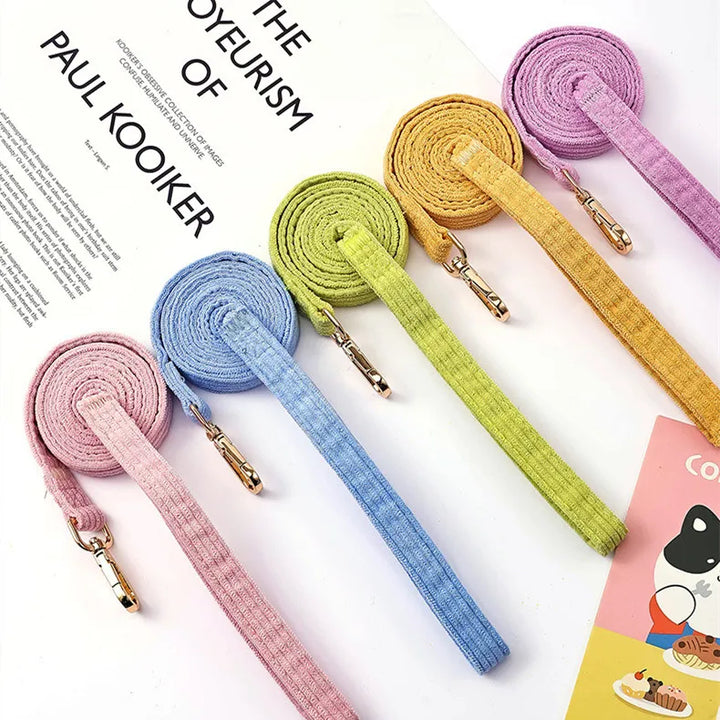 Full set: adjustable bee motif dog harness and lead, a complete and stylish dog accessory for all dogs.