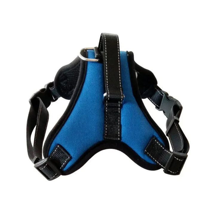 Small dog wearing an adjustable reflective nylon harness, comfortable fit for puppy walks.