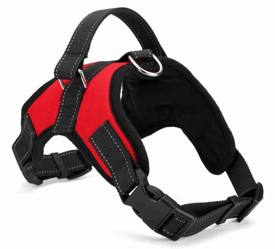 Close-up of the quick-release buckle on an adjustable reflective dog harness, pet safety.