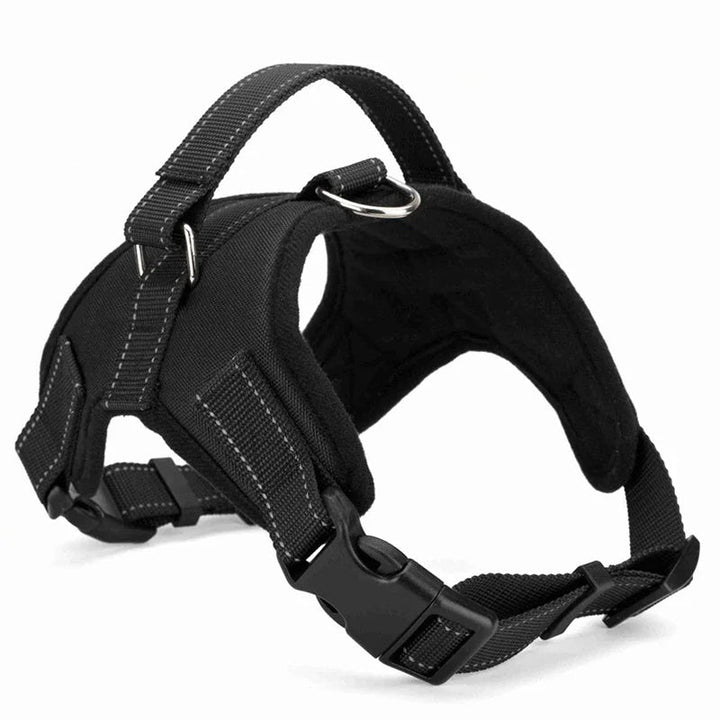 Adjustable dog harness on a white background, displaying all features of the reflective design.