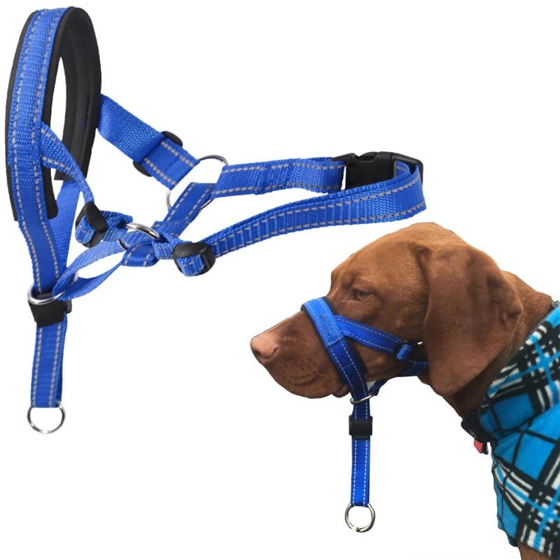 Front view of black adjustable dog training muzzle, perfect for pet control and peace of mind