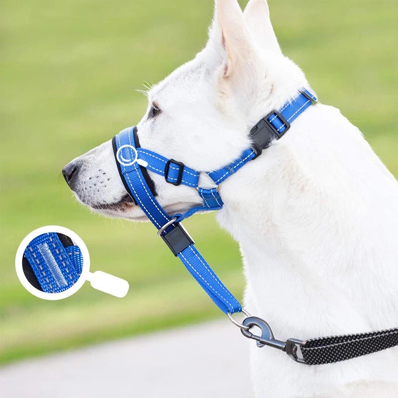 Side view of reflective dog muzzle, an essential training tool for pet safety and control