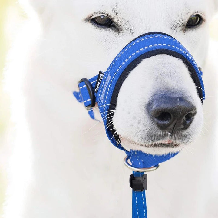 Close-up of adjustable straps and breathable fabric on a dog training muzzle, pet supplies