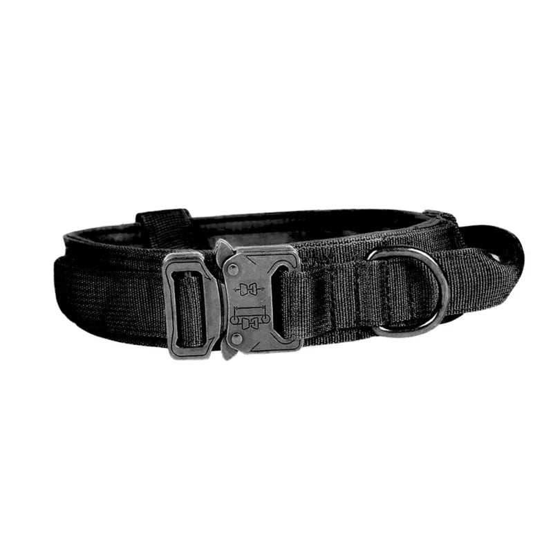 Collection of adjustable nylon dog collars and leashes in different sizes, versatile pet accessories