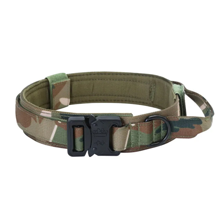 Close-up of double-stitched adjustable nylon dog collar for enhanced durability and pet safety