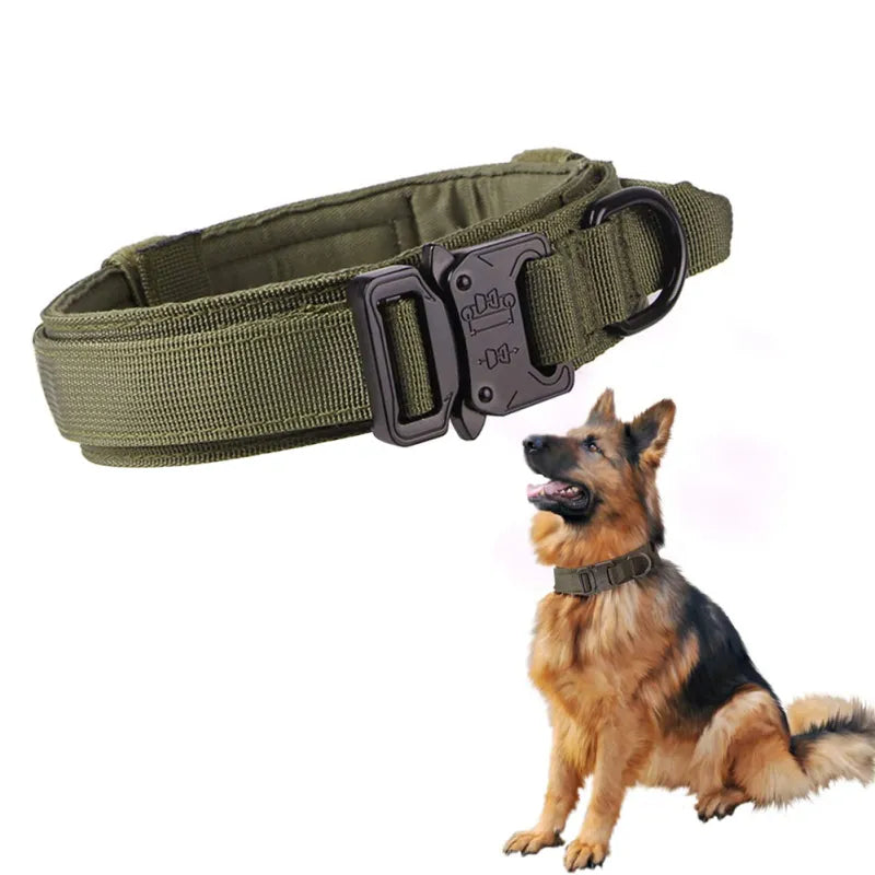 Close-up of durable adjustable nylon dog collar with strong buckle and matching leash, pet accessory