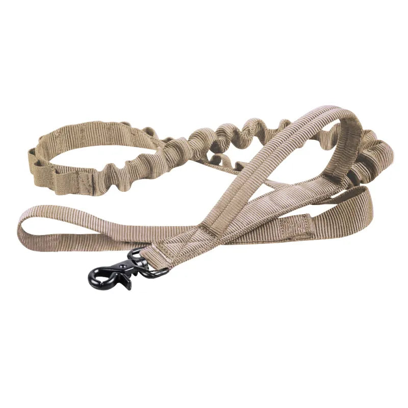 Robust metal fastener on adjustable black nylon dog leash, ensuring pet security and control
