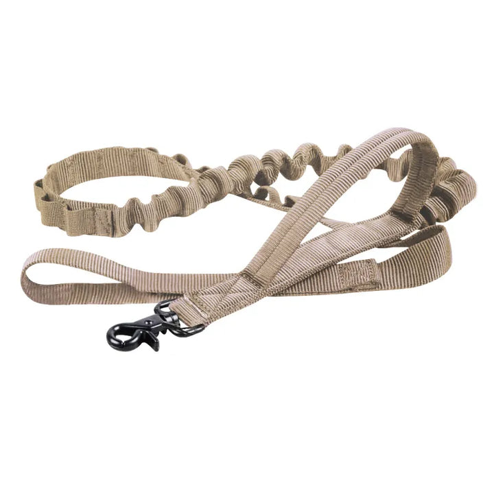 Robust metal fastener on adjustable black nylon dog leash, ensuring pet security and control