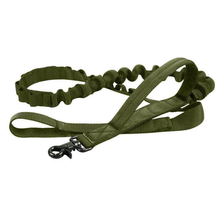 Adjustable nylon dog collar in various colors with matching leash, essential pet gear for comfort