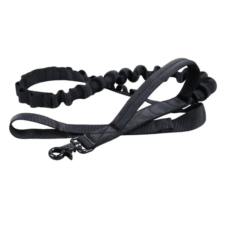 Top-down view of an adjustable black nylon dog collar and leash, perfect for secure outdoor adventures