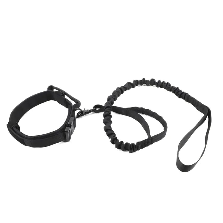 Hand holding adjustable black nylon dog leash with robust fastener, ready for a safe walk