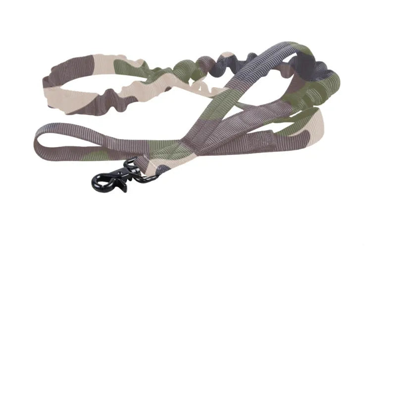 Detail of adjustable buckle mechanism on a black nylon dog collar, offering a perfect fit for pets