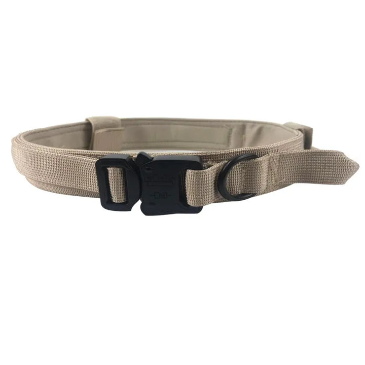 Black nylon dog collar and leash set laid flat, highlighting adjustable features and strong construction
