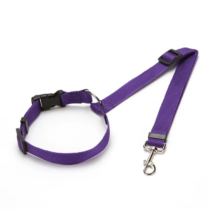 Adjustable black nylon pet car seat belt and comfort harness for dog safety during travel
