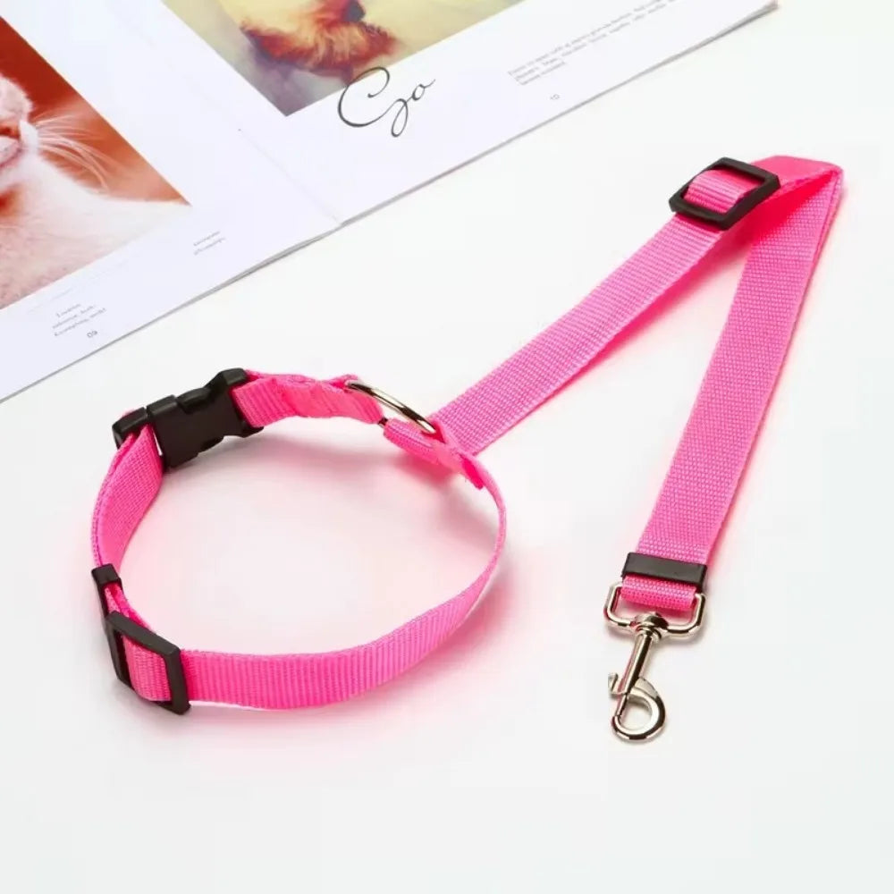Pet seat belt with adjustable strap attached to dog car harness, providing secure travel