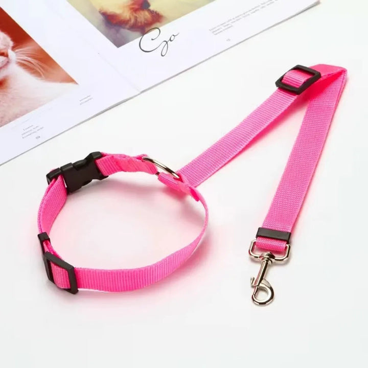 Pet seat belt with adjustable strap attached to dog car harness, providing secure travel